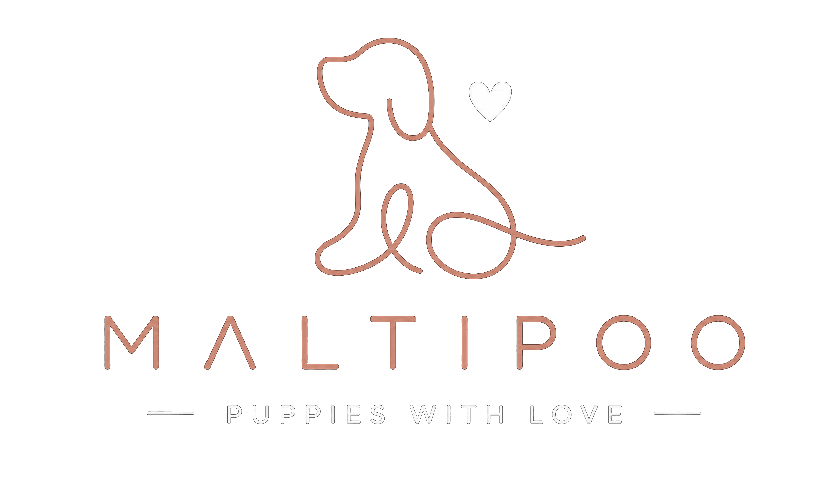 Maltipoo — Puppies with love